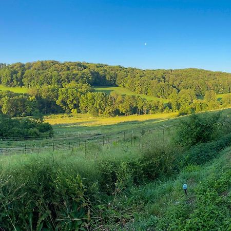 Bauernhof Fuer Naturliebhaber Bucha  Luaran gambar