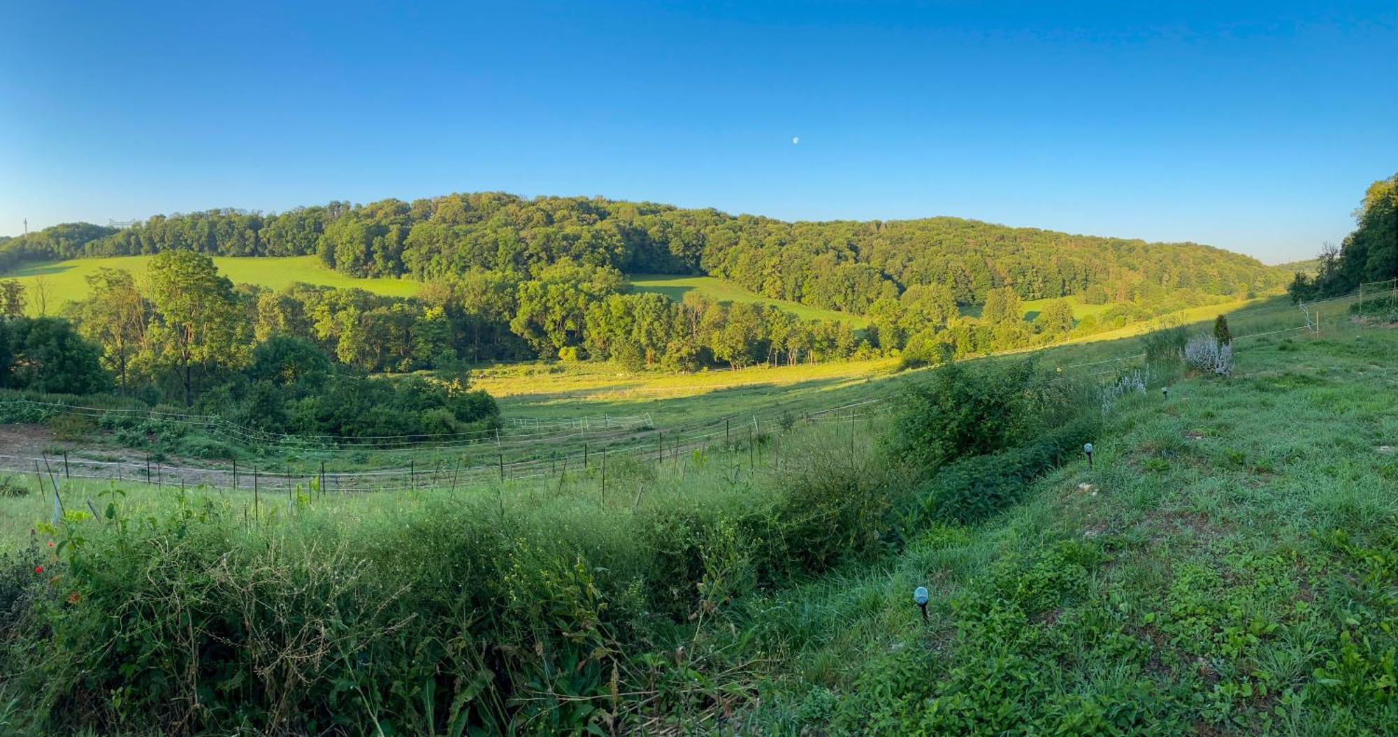 Bauernhof Fuer Naturliebhaber Bucha  Luaran gambar